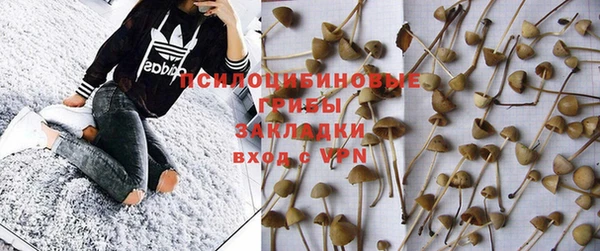 а пвп мука Няндома