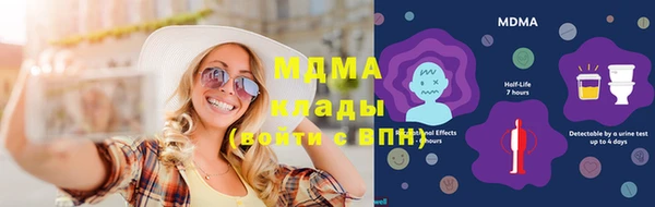 сатива Новозыбков
