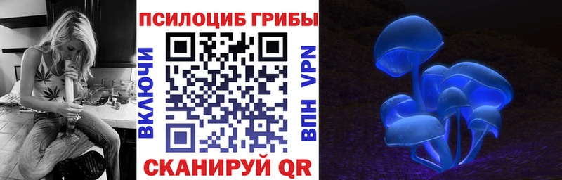 Псилоцибиновые грибы Psilocybe  Купить где  Копейск 